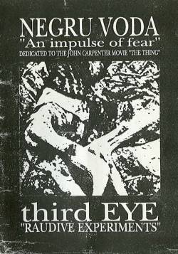 Negru Voda : An Impulse of Fear - Raudive Experiments